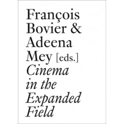 Cinema in the Expanded Field