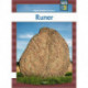 Runer
