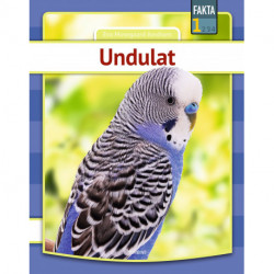 Undulat
