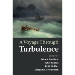A Voyage Through Turbulence