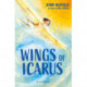 Wings of Icarus: A Bloomsbury Reader: Brown Book Band