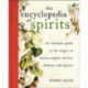 Encyclopedia of Spirits: The Ultimate Guide to the Magic of Fairies, Genies, Demons, Ghosts, Gods & Goddesses