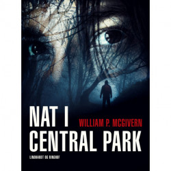 Nat i Central Park