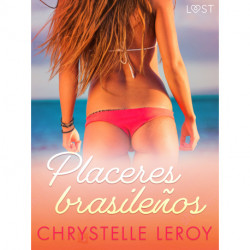 Placeres brasileños - un relato corto erótico