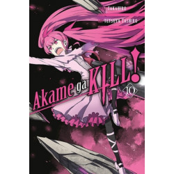 Akame Ga Kill!, Vol. 10