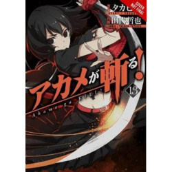 Akame ga KILL!, Vol. 13