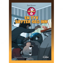 En tyv bryter seg inn