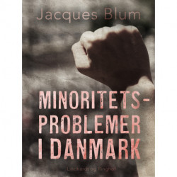 Minoritetsproblemer i Danmark
