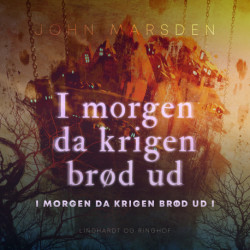 I morgen da krigen brød ud