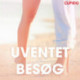 Uventet besøg – erotiske noveller