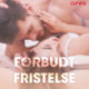 Forbudt fristelse – erotisk novelle