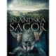 Isländska sagor