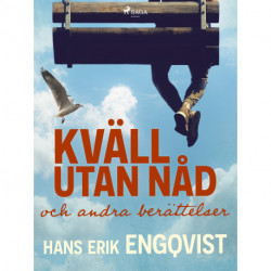 Kväll utan nåd och andra berättelser