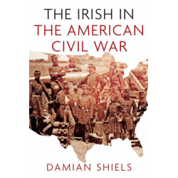 The Irish in the American Civil War