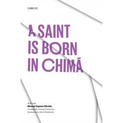 A Saint Is Born in Chima: A Novel
