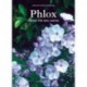 Phlox: Phloxe für den Garten