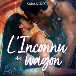 L'Inconnu du wagon – Une nouvelle érotique