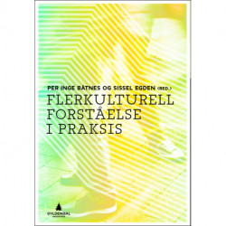 Flerkulturell forståelse i praksis