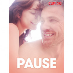 Pause  - erotiske noveller