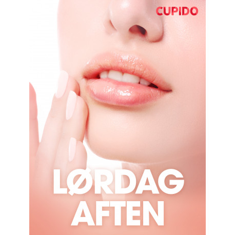 Lørdag aften - erotiske noveller