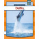 Delfin