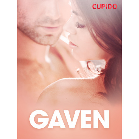 Gaven - erotiske noveller