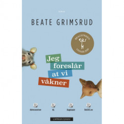 Jeg foreslår at vi våkner : roman