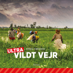 Vildt vejr