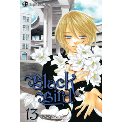 Black Bird, Vol. 13