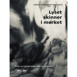 Lyset skinner i mørket: Sange om regnvåde gader, engle og stjernedrys