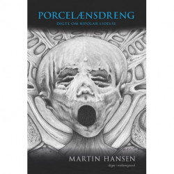 Porcelænsdreng: Digte om bipolar lidelse