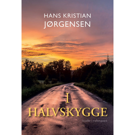 I halvskygge: Noveller om besættelsestiden