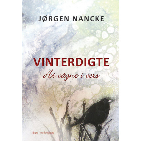Vinterdigte: at vågne i vers