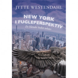New York i fugleperspektiv