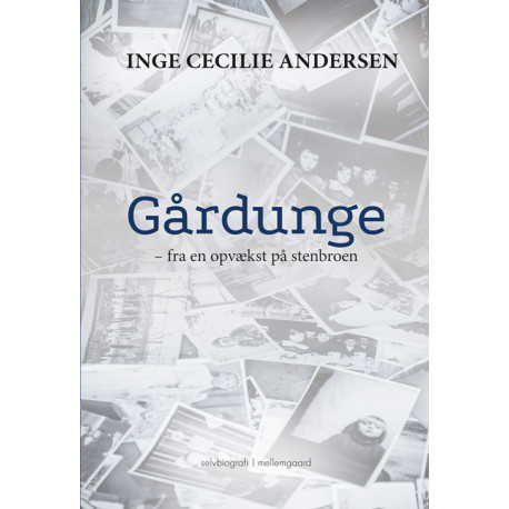 Gårdunge: fra en opvækst på Stenbroen