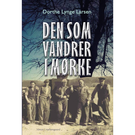 Den som vandrer i mørke