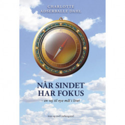 Når sindet har fokus: en vej til nye mål