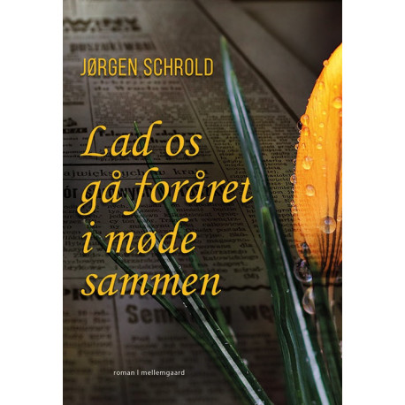 Lad os gå foråret i møde sammen