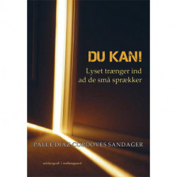 DU KAN!  Lyset trænger ind af de små sprækker