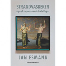 Strandvaskeren og andre opmuntrende fortællinger