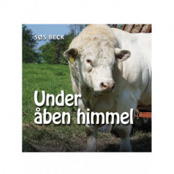 Under åben himmel