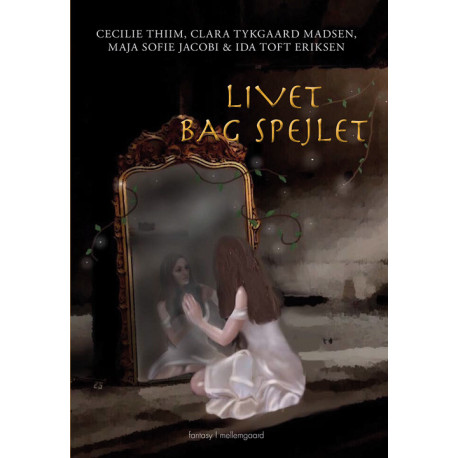 Livet bag spejlet