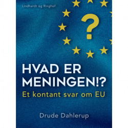 Hvad er meningen!? Et kontant svar om EU