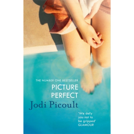 Picture Perfect: A totally gripping and emotional book club novel from the bestselling author of My Sister's Keeper
