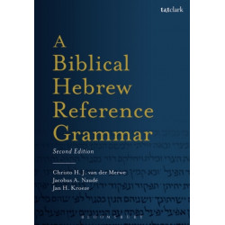 A Biblical Hebrew Reference Grammar