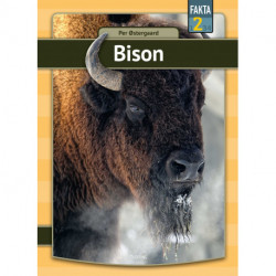 Bison