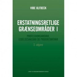 Erstatningsretlige grænseområder I: Professionsansvar, ledelsesansvar og produktansvar