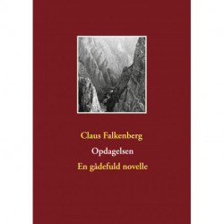 Opdagelsen: En gådefuld novelle