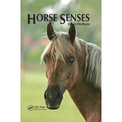 Horse Senses