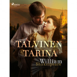 Talvinen tarina